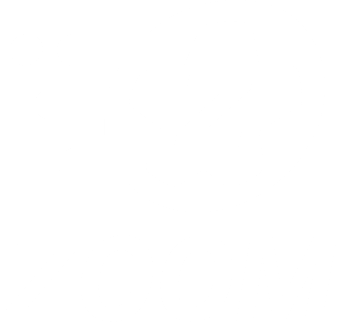Logo Zoom